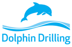 Dolphin logo